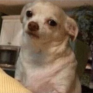 Meet your Posher, Starlene